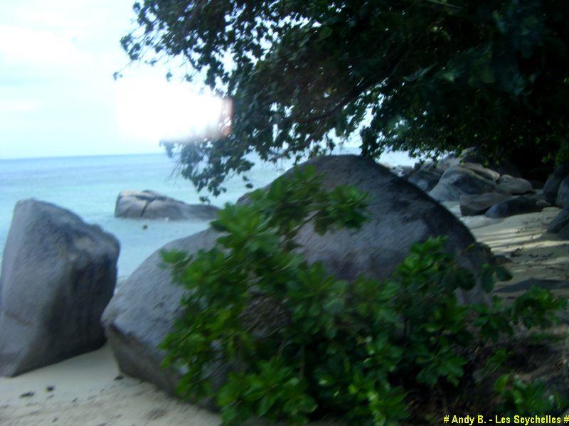 plage de mahe.JPG